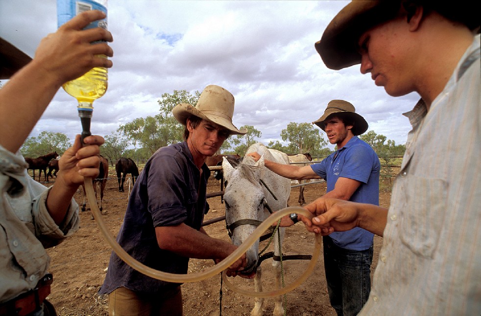 The Stockmen 