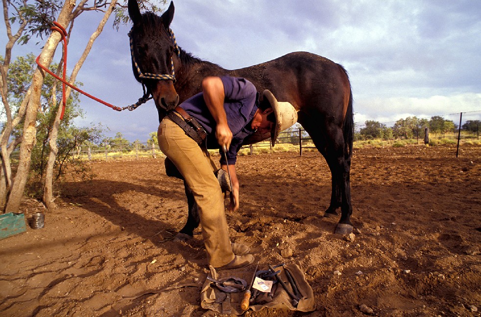 The Stockmen 