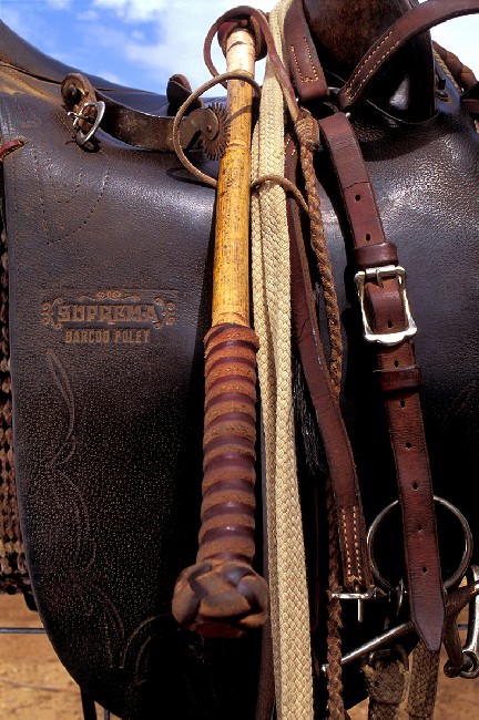 The Stockmen 