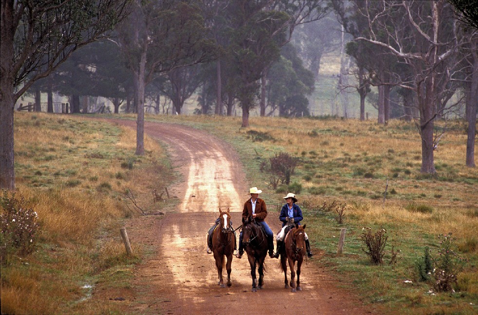 The Stockmen 