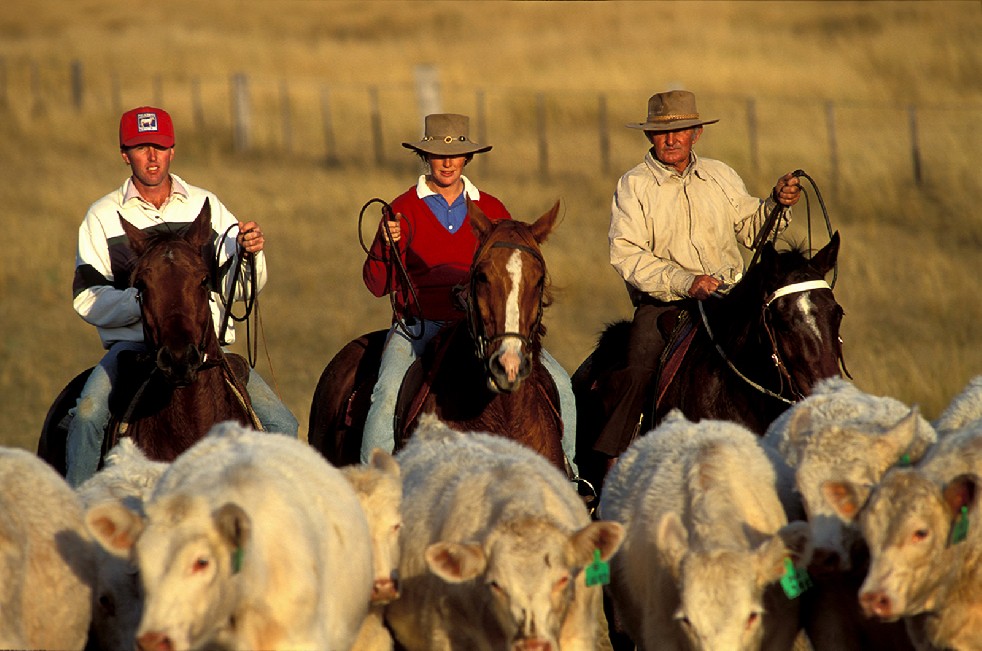 The Stockmen 
