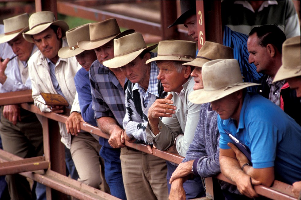 The Stockmen 