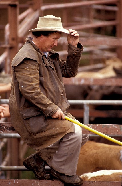 The Stockmen 