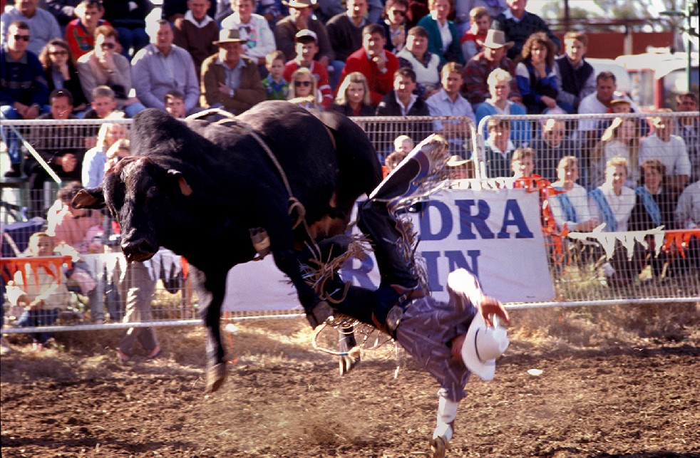 The Stockmen 
