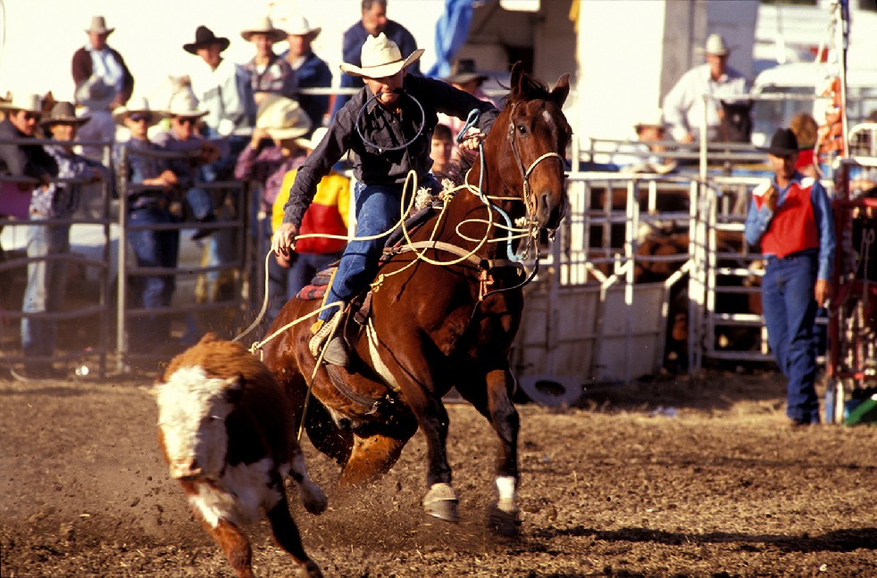 The Stockmen 