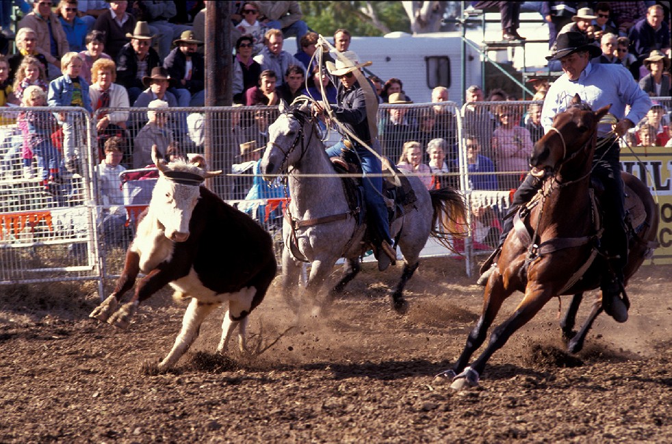 The Stockmen 