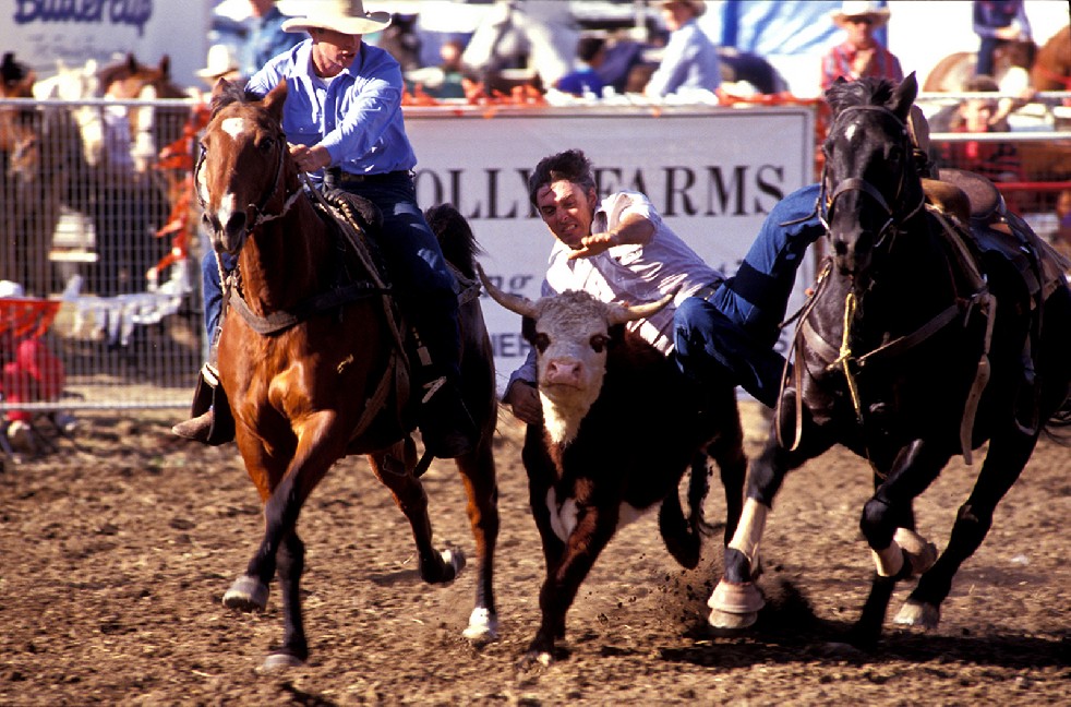 The Stockmen 