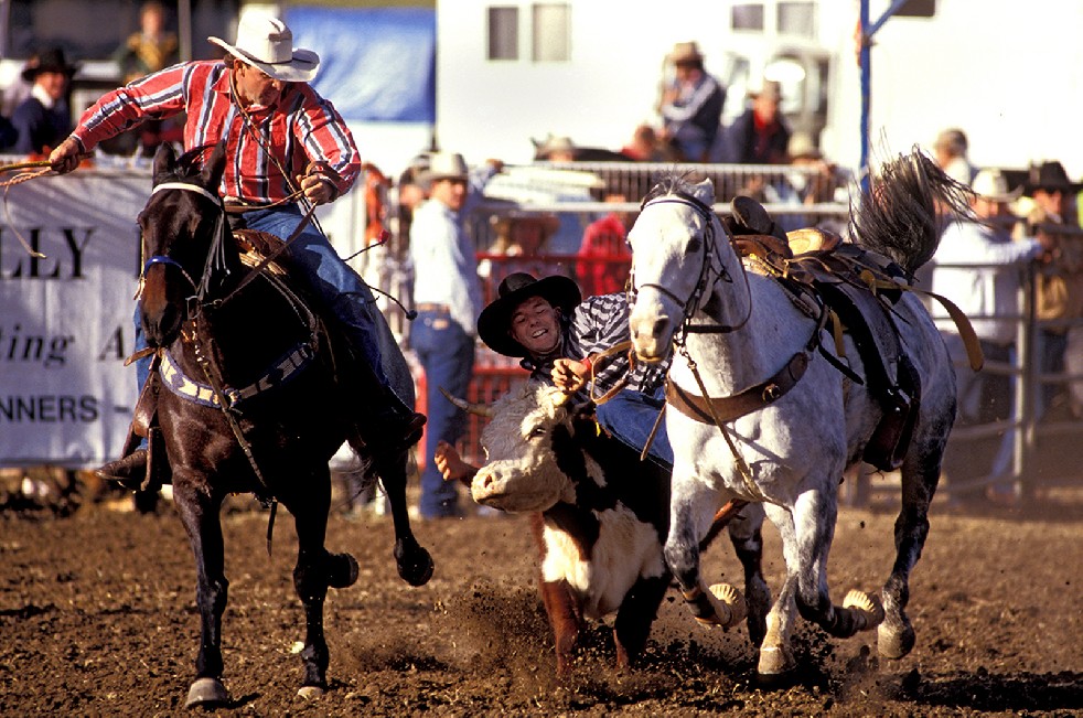 The Stockmen 