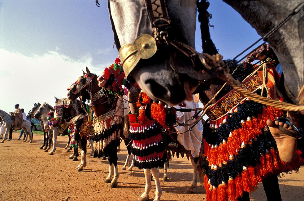 The King's Warriors 