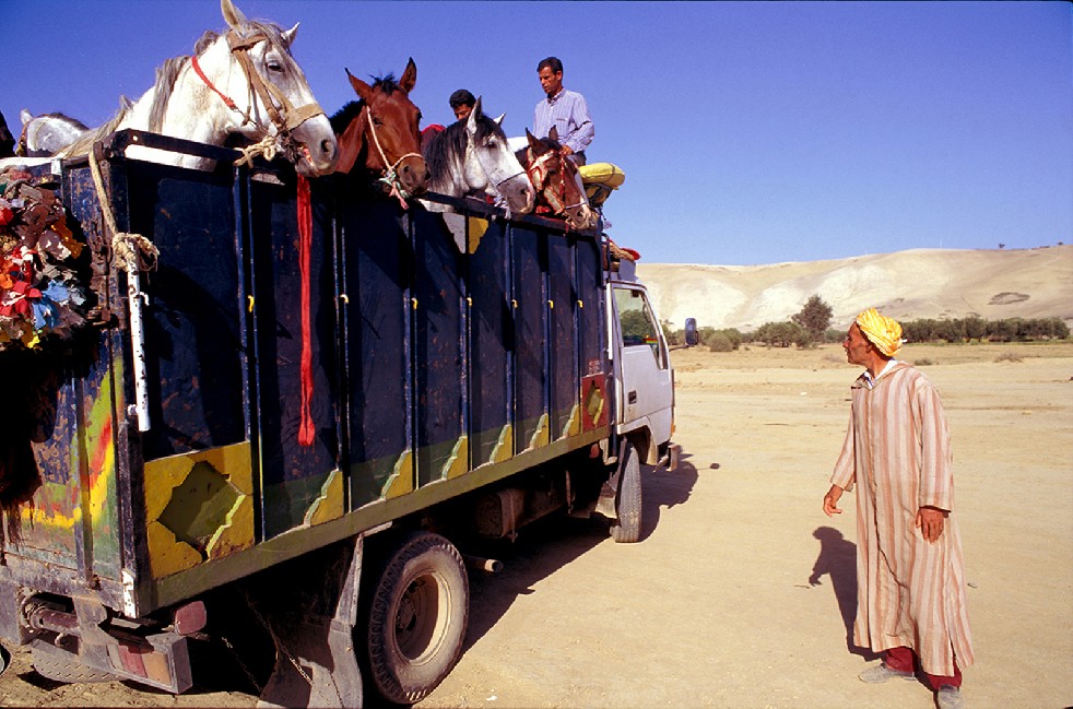 Centaurs Of The Sands 