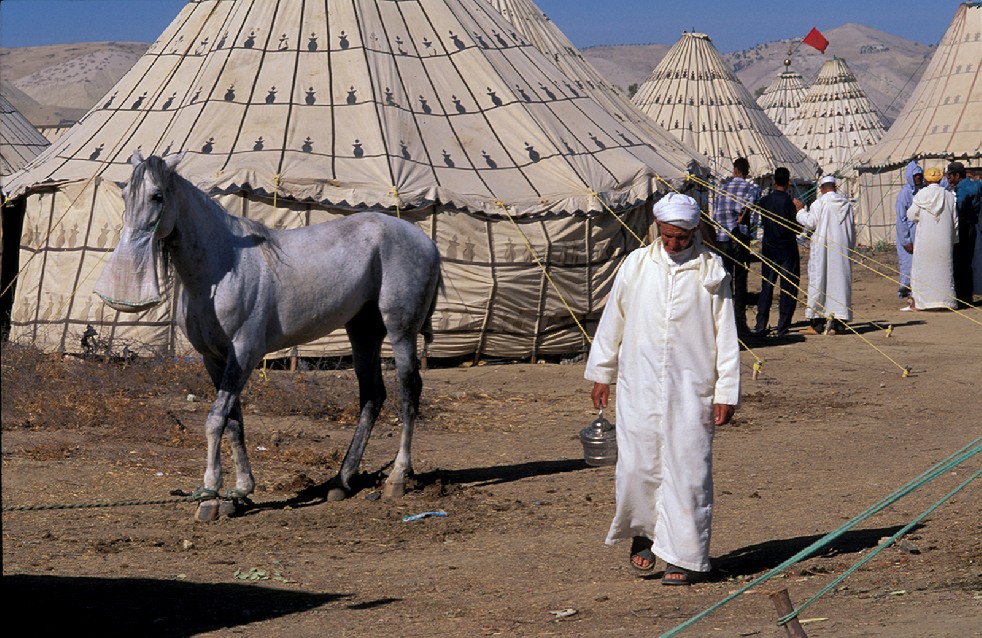 Centaurs Of The Sands 