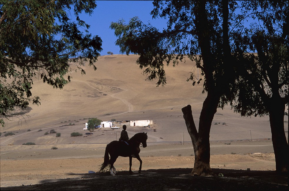 Centaurs Of The Sands 