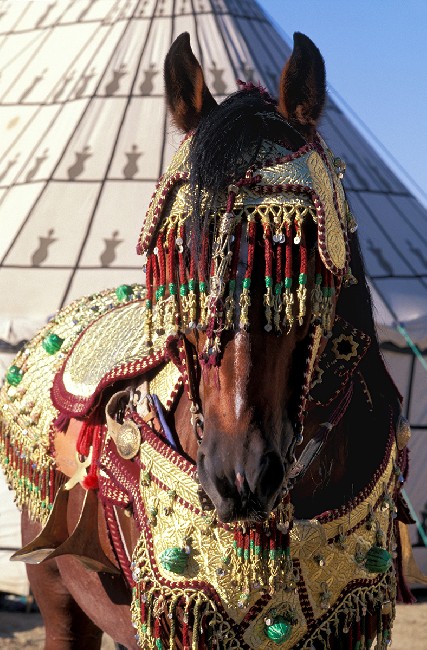Centaurs Of The Sands 