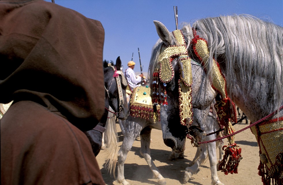 Centaurs Of The Sands 
