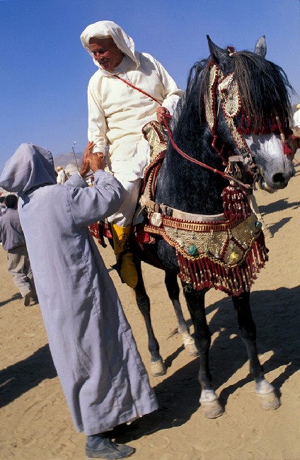 Centaurs Of The Sands 