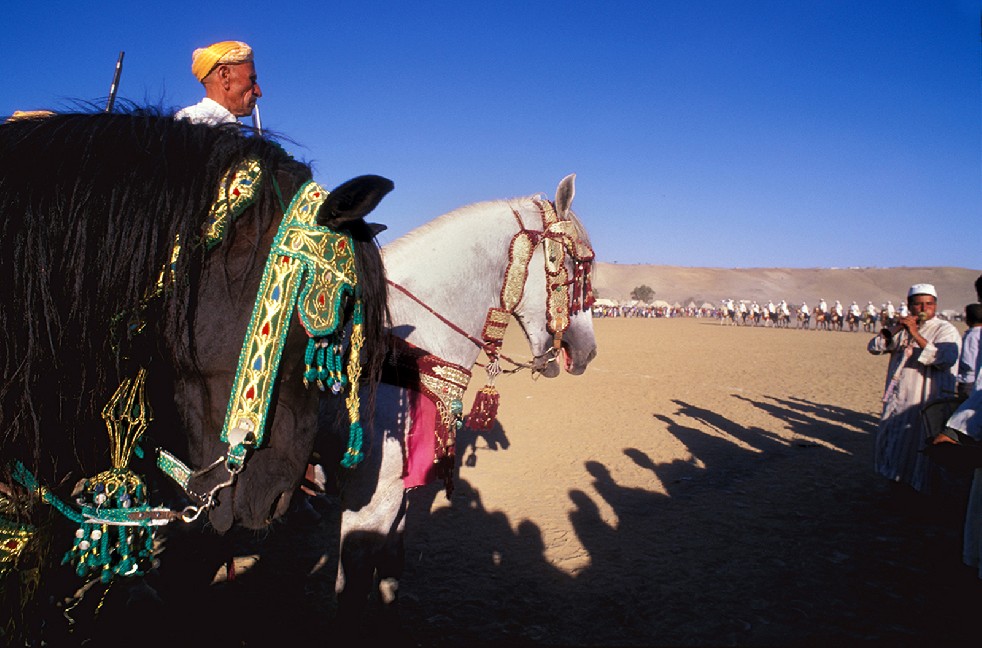 Centaurs Of The Sands 