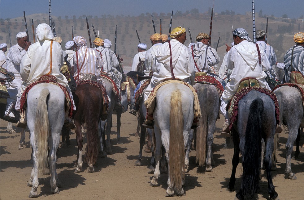 Centaurs Of The Sands 