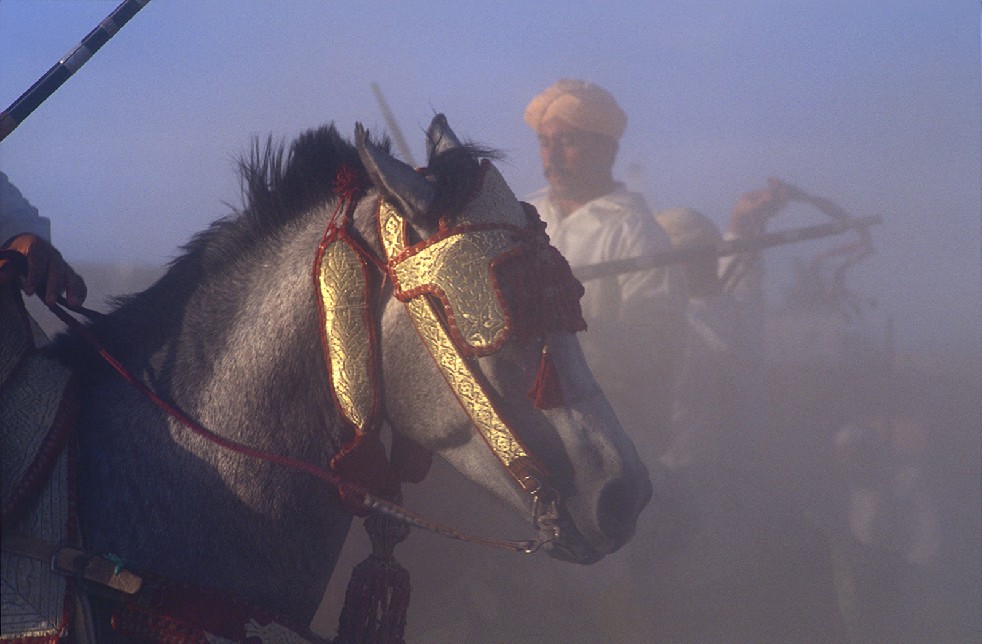 Centaurs Of The Sands 
