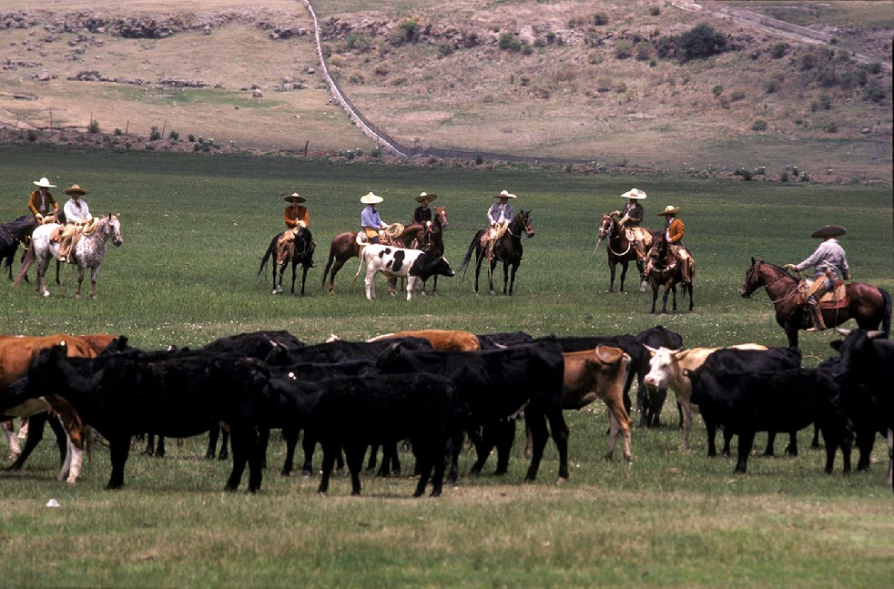 Los Charros 