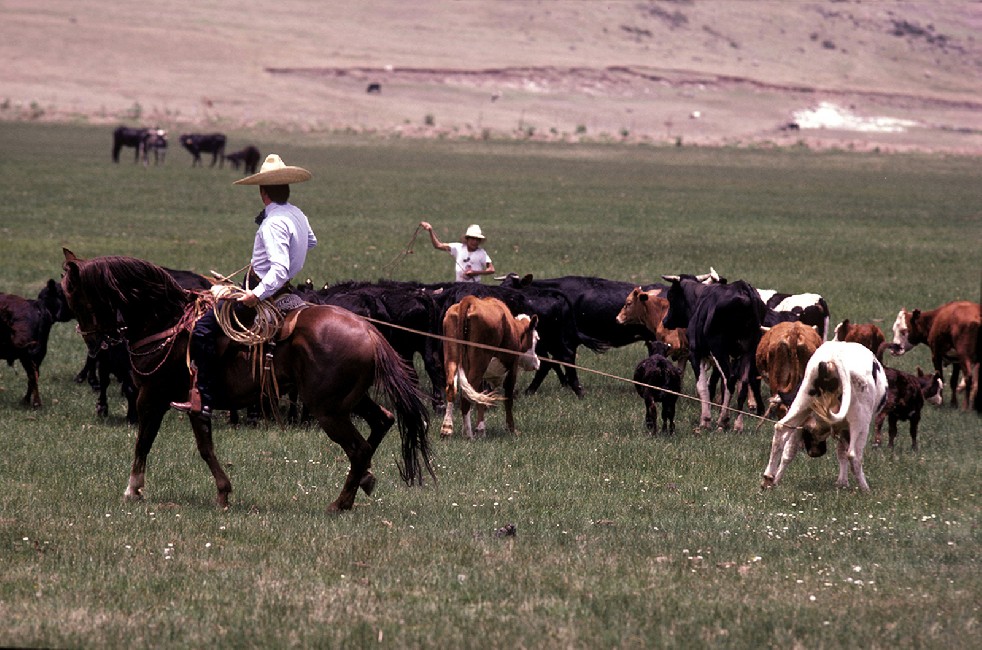 Los Charros 
