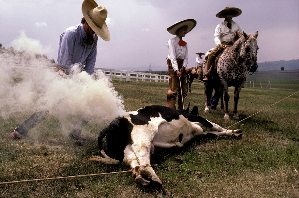 Los Charros 