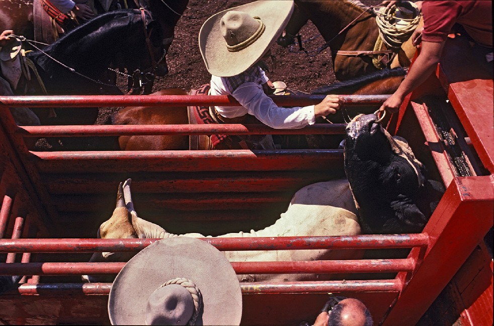 Los Charros 