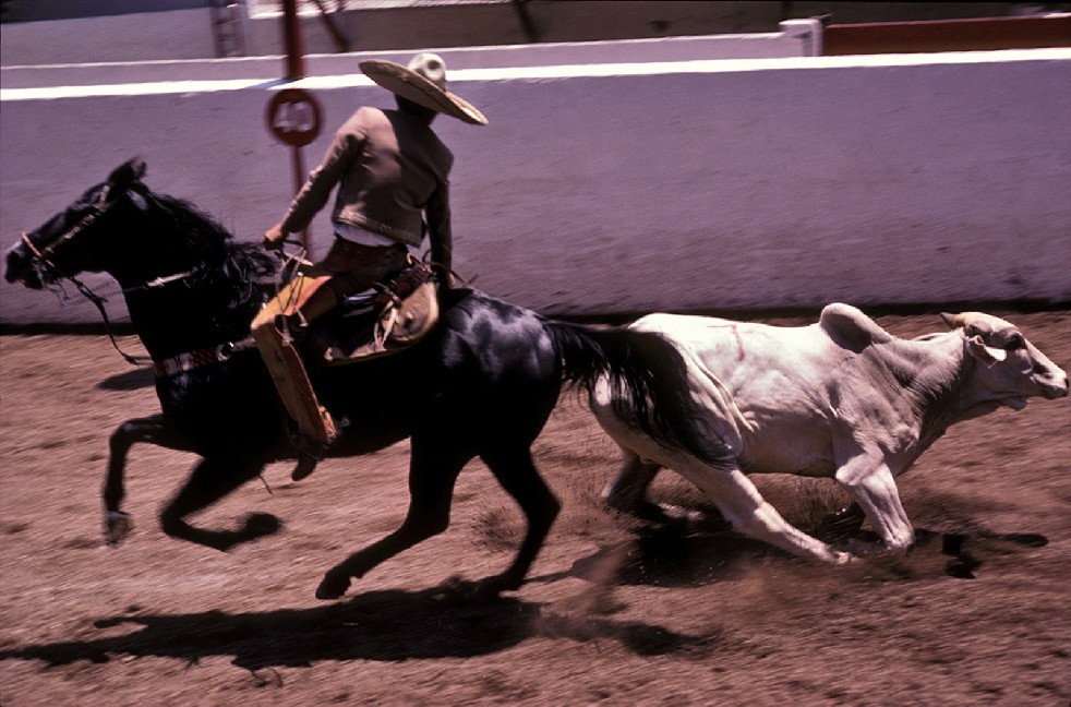 Los Charros 