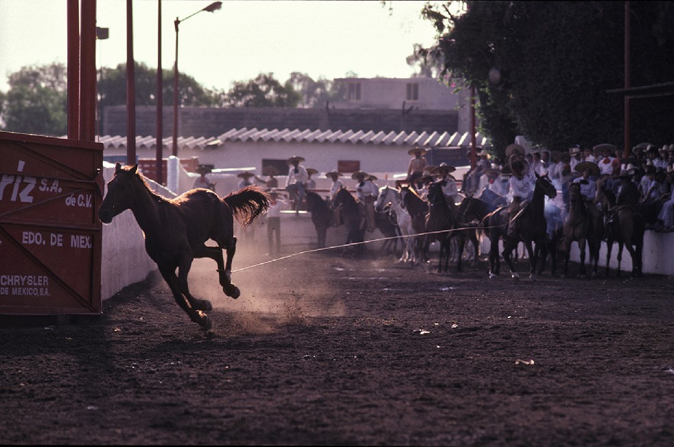 Los Charros 