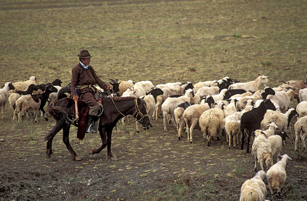Lords Of The Steppe 
