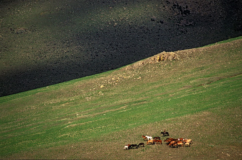 Lords Of The Steppe 