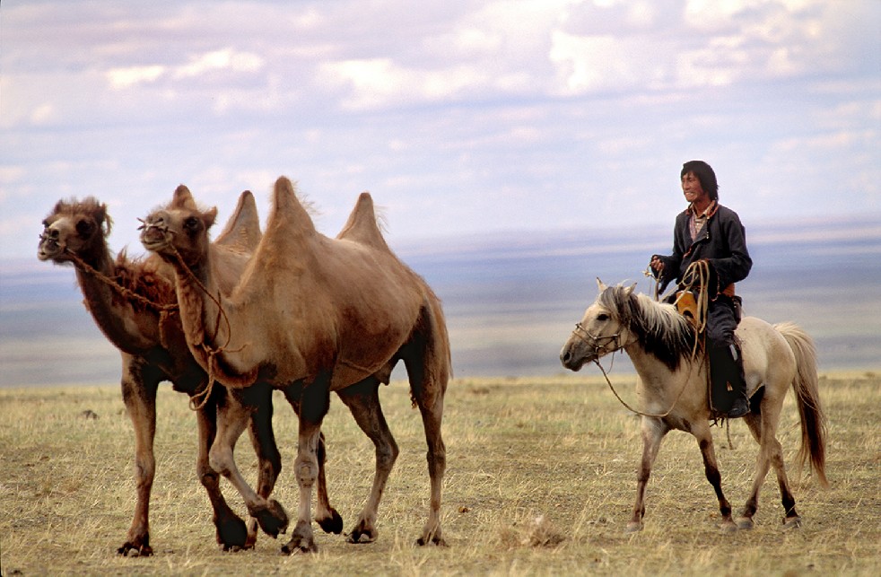 Lords Of The Steppe 