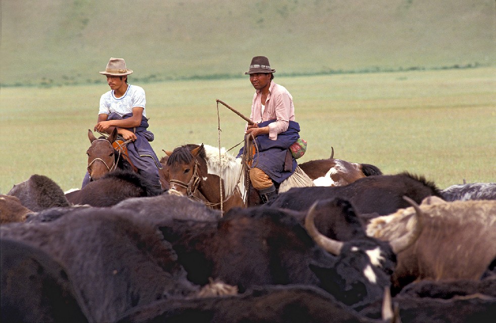 Lords Of The Steppe 