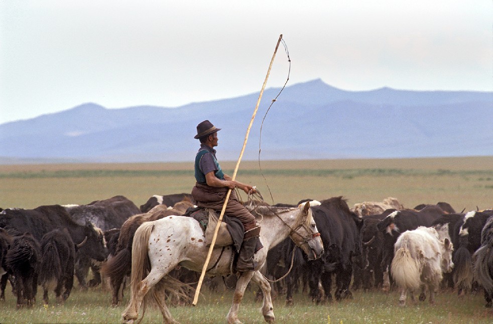 Lords Of The Steppe 