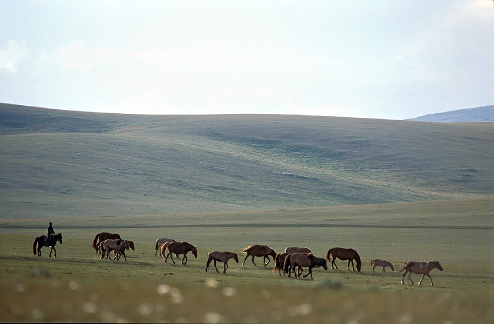 Lords Of The Steppe 