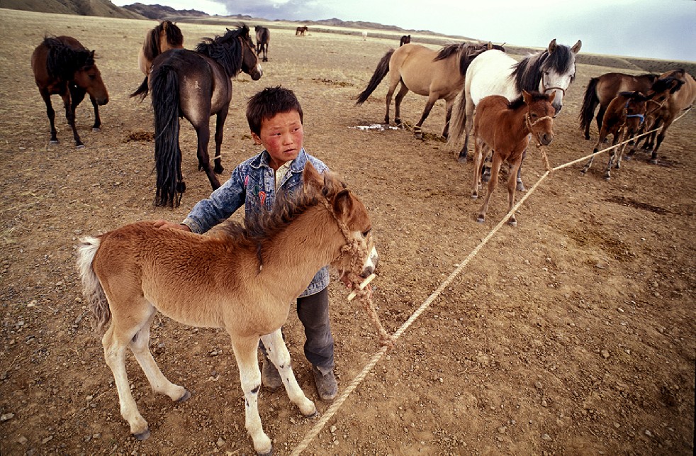 Lords Of The Steppe 