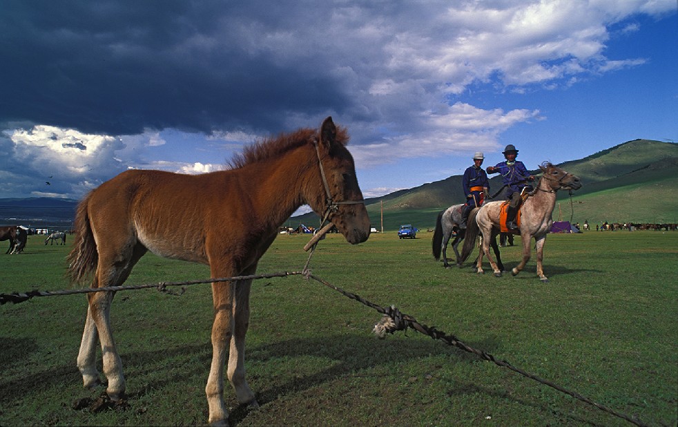 Lords Of The Steppe 