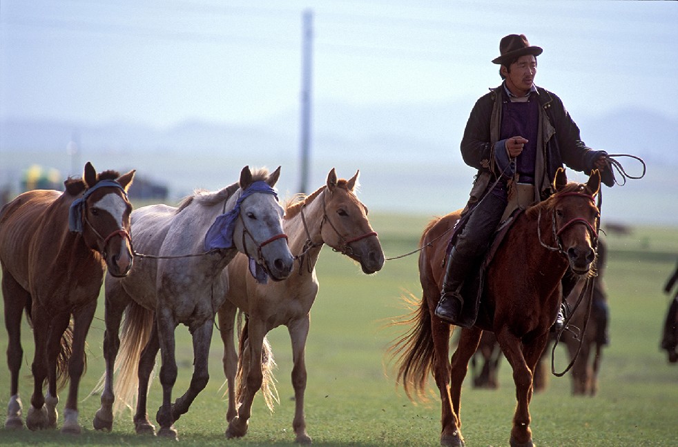Lords Of The Steppe 