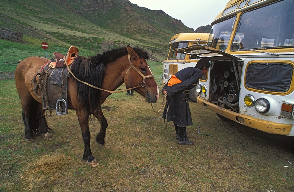 Lords Of The Steppe 