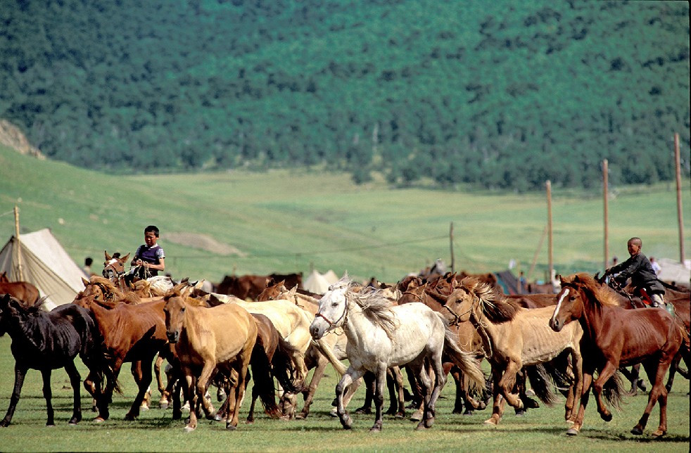Lords Of The Steppe 