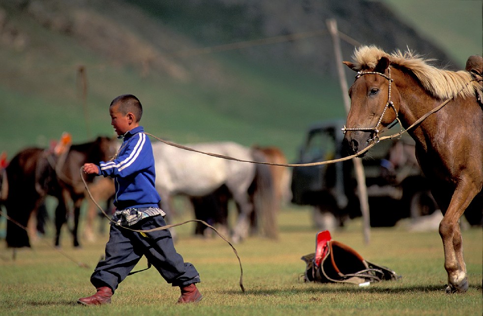 Lords Of The Steppe 