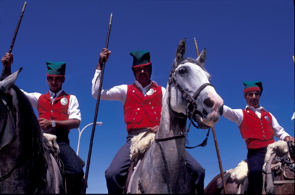 The Knights Of The Arena 