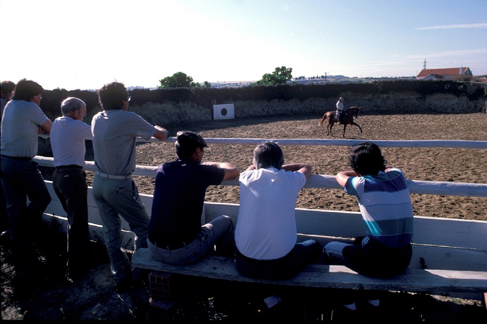 The Knights Of The Arena 