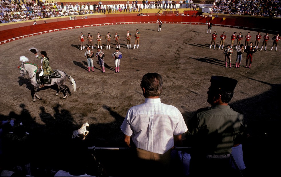 The Knights Of The Arena 