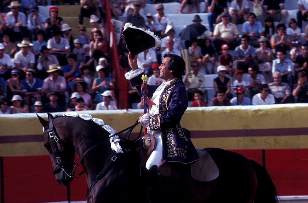The Knights Of The Arena 