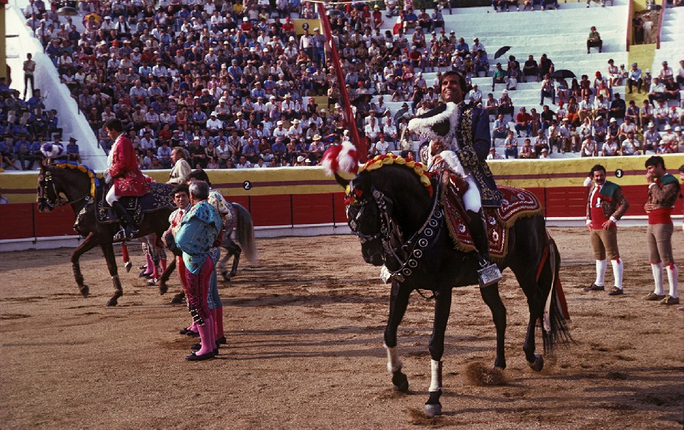 The Knights Of The Arena 