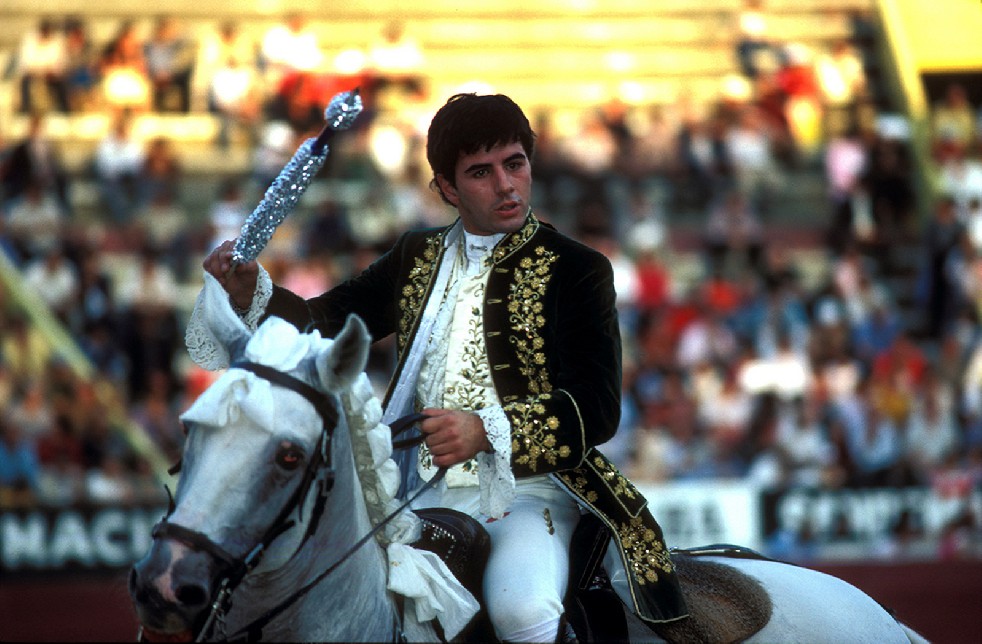 The Knights Of The Arena 