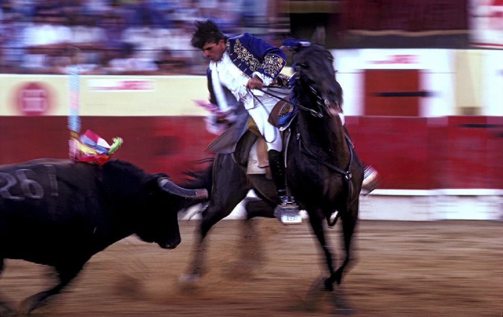 The Knights Of The Arena 
