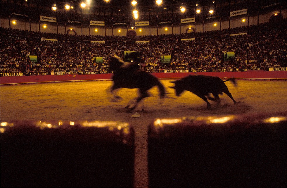 The Knights Of The Arena 