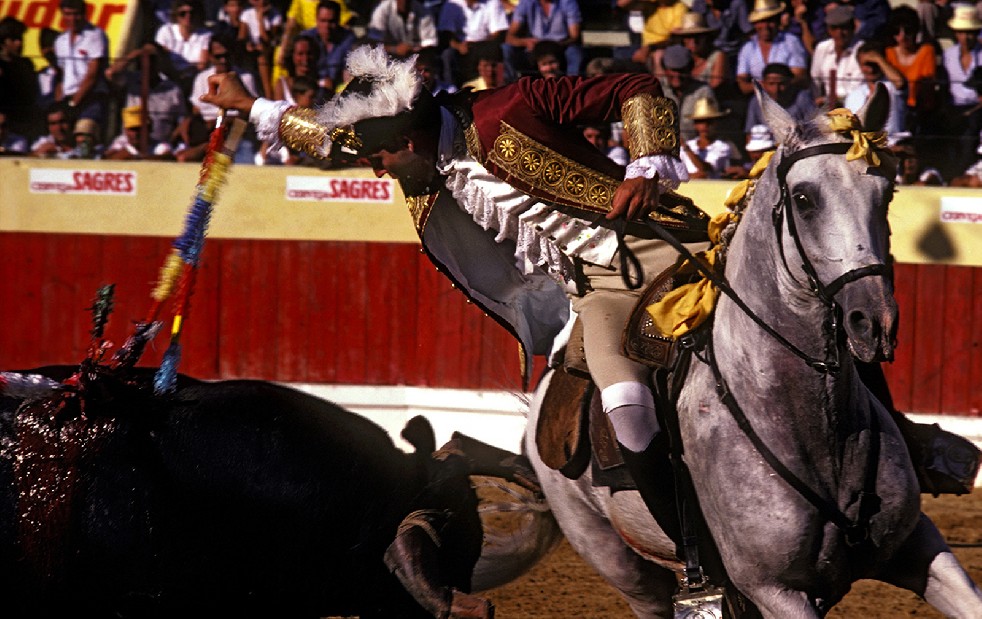 The Knights Of The Arena 