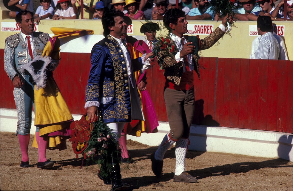 The Knights Of The Arena 